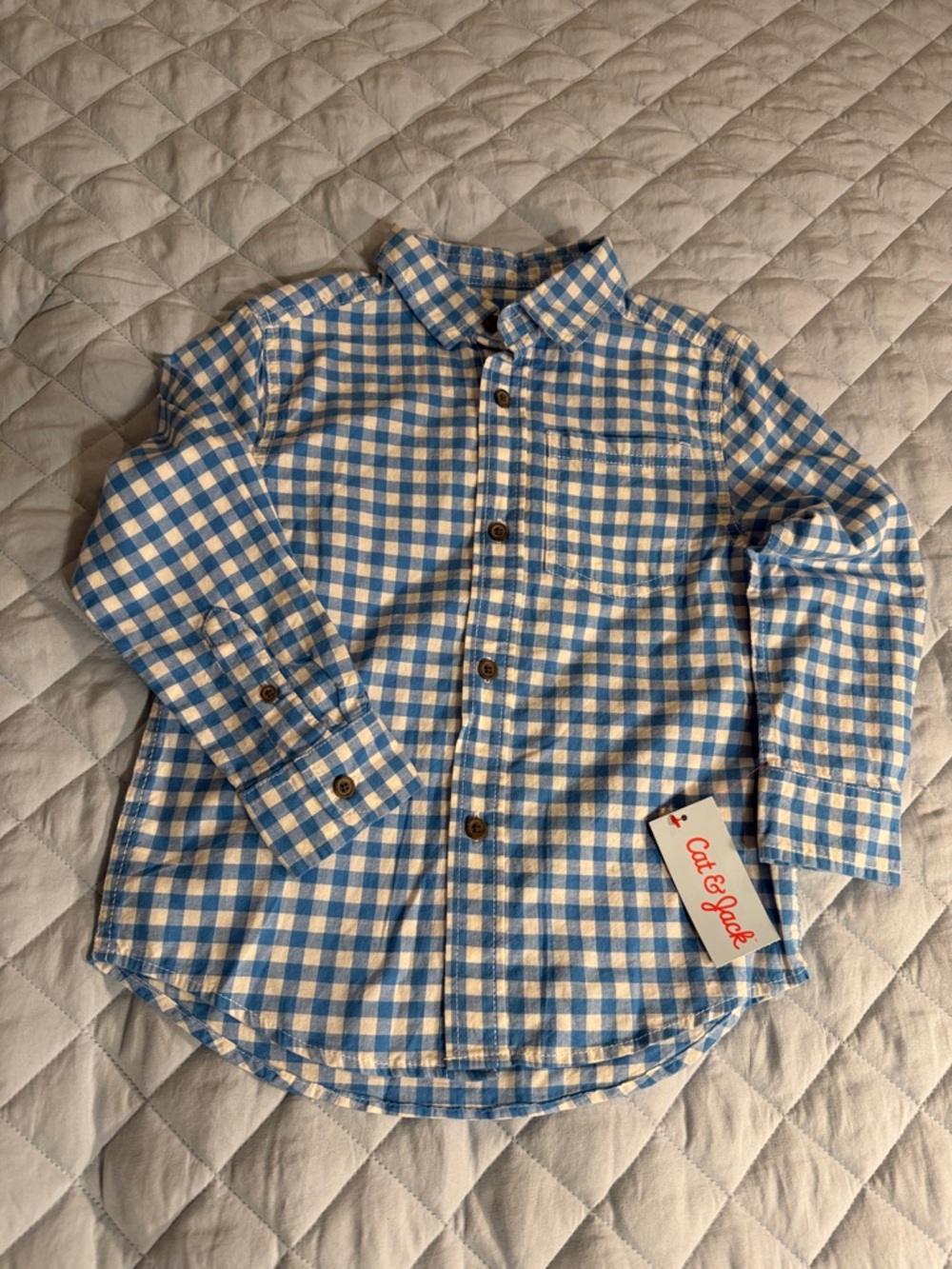 Cat & Jack Blue and White Gingham Shirt
